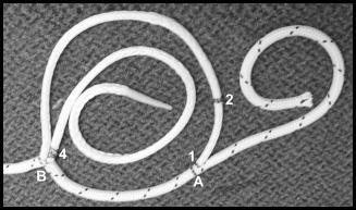 Double braid core to core eye splice image 4