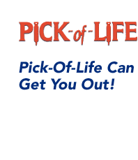 Pick of life retractable ice awls