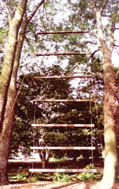 Jacobs Ladder is part of a high ropes challenge course