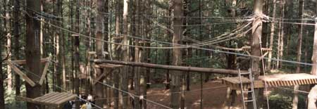 Tree based rope challenge course